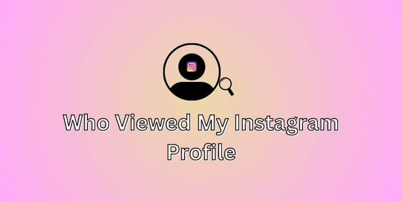 Viewed Instagram Profile
