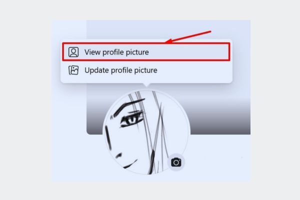 view profile picture